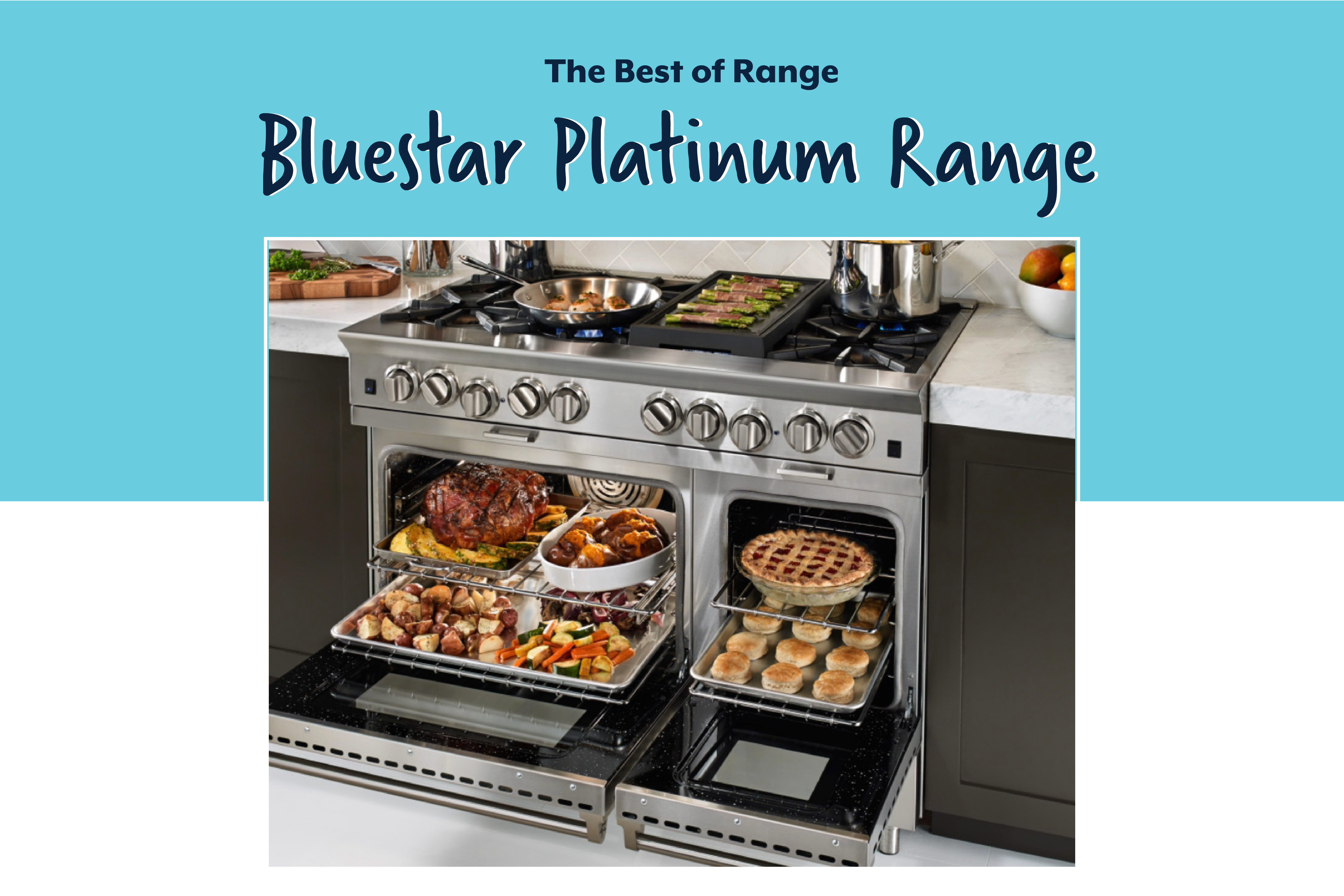 BlueStar Platinum Range